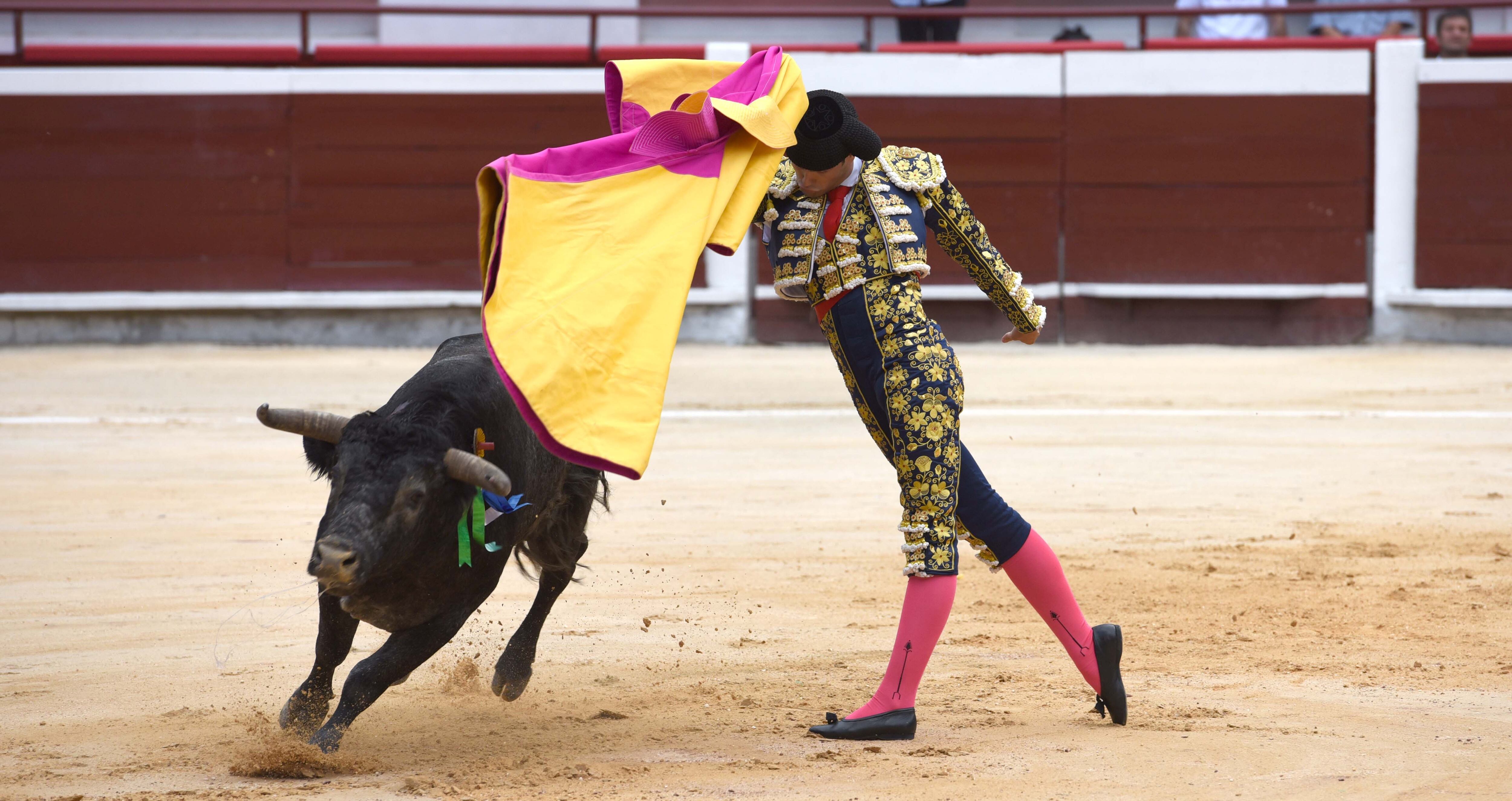 Simón Hoyos, novillero sin caballos de Manizales.
