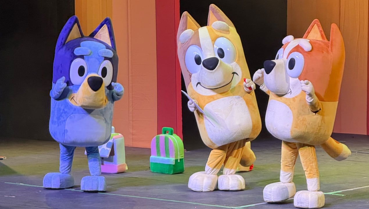 Bluey, el fenómeno infantil australiano aterriza en Bogotá para show en vivo