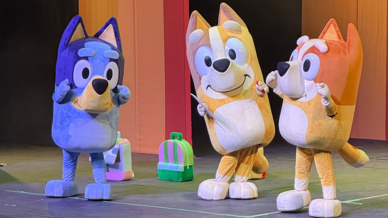 Bluey, el fenómeno infantil australiano, aterriza en Bogotá para show en vivo.