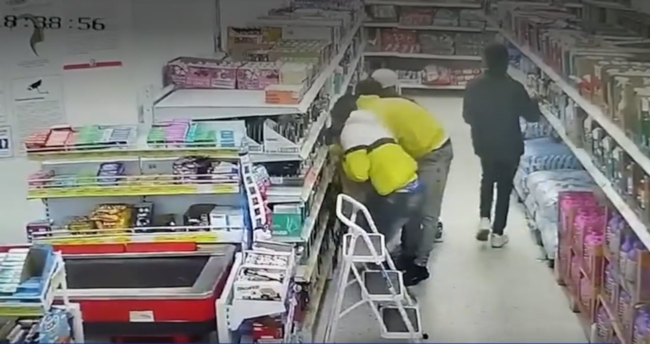 Ladrones en D1