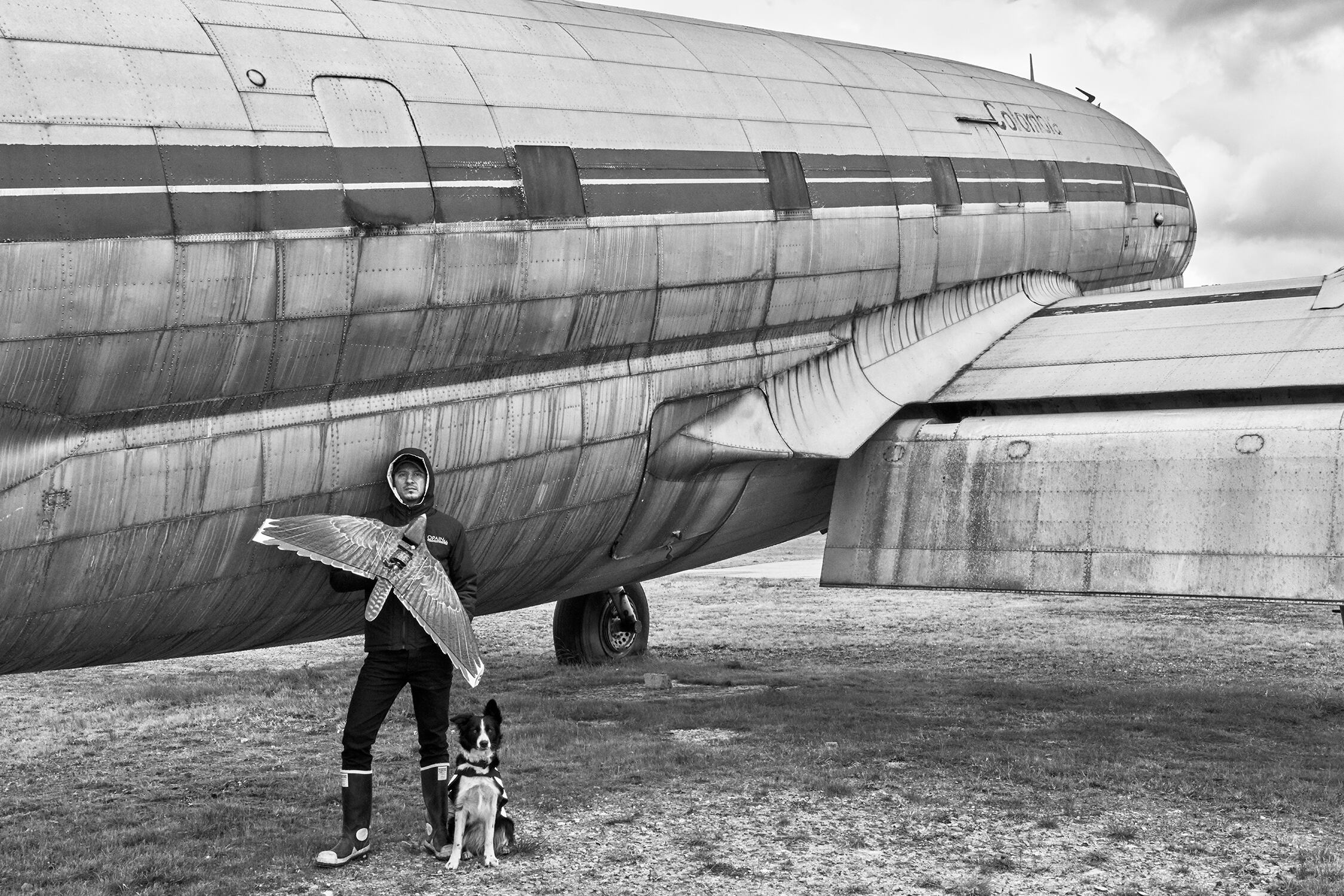 Plataforma de Sueños: El Dorado – 6 décadas