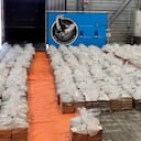 ARCHIVO - En esta foto de archivo difundida el 10 de agosto de 2023 por la Fiscalía de Rotterdam se muestra la incautación de 8.000 kilos de cocaína en Rotterdam, Países Bajos. Las autoridades aduaneras de Países Bajos dijeron el 10 de agosto que interceptaron un cargamento de más de 8.000 kilos de cocaína en el puerto de Rotterdam y, de acuerdo con los fiscales, la droga estaba escondida en un contenedor de banano procedente de Ecuador el 13 de julio. (Openbaar Ministerie, Fiscalía de Países Bajos vía AP, Archivo)