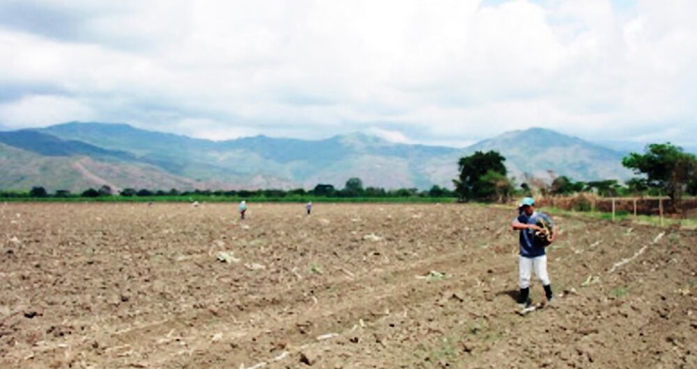 Estos predios están avaluados en cerca de 14.000 millones de pesos.