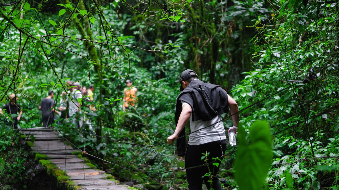 young latin man in the jungle crossing a wooden suspension bridge, ecological hike, environmental conservation in colombia