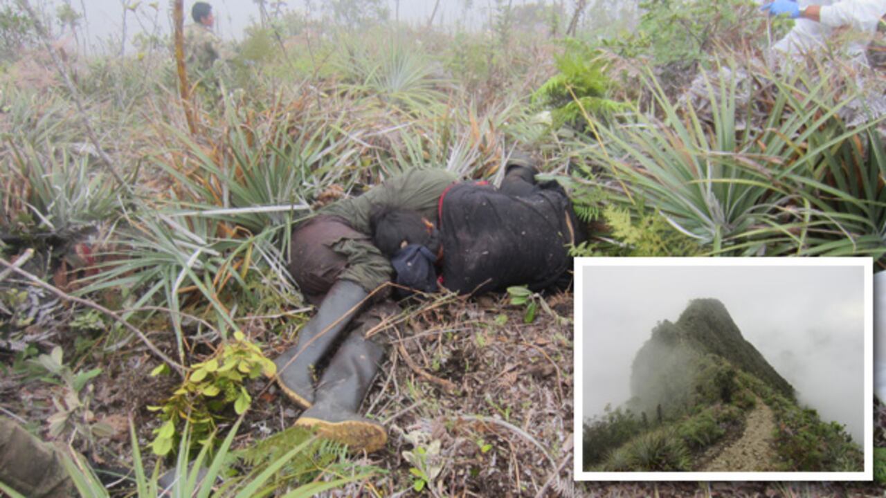 El pasado 8 de mayo murió en combate con el Ejército, junto con otros siete guerrilleros, alias Caliche, comandante de la columna Jacobo Arenas de las Farc, en un filo remoto de la cordillera entre Cauca y Nariño. En esta foto aparece junto a su compañera, Olga, en el lugar donde cayeron.