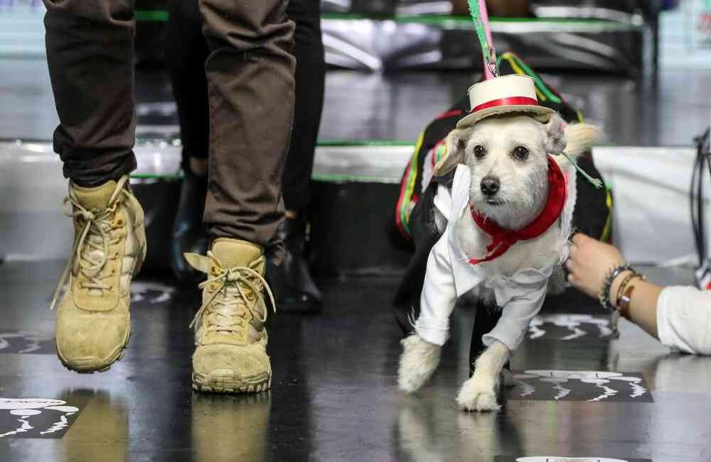 Foto: Carlos Julio Martínez / SEMANA