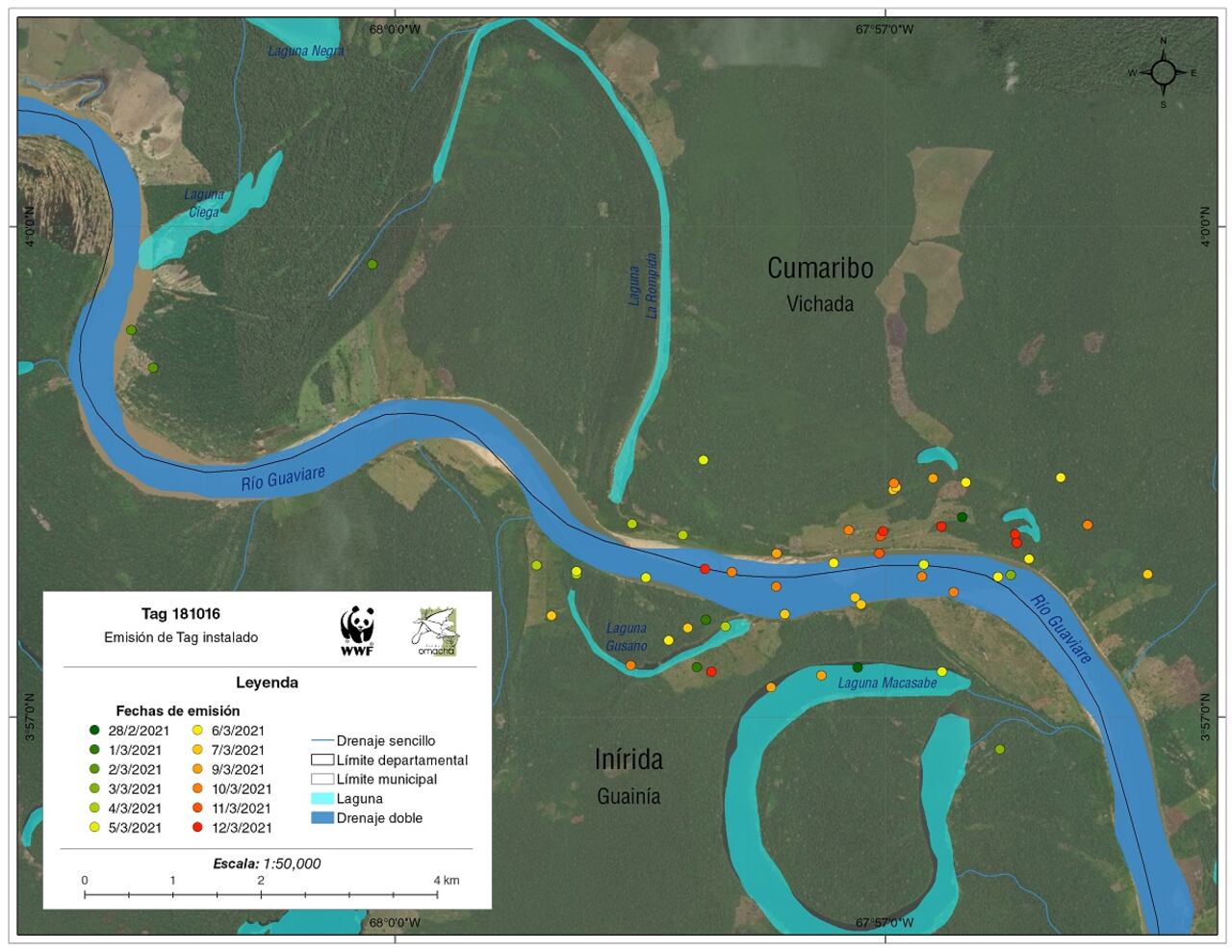 Seguimiento satelital de delfines de río