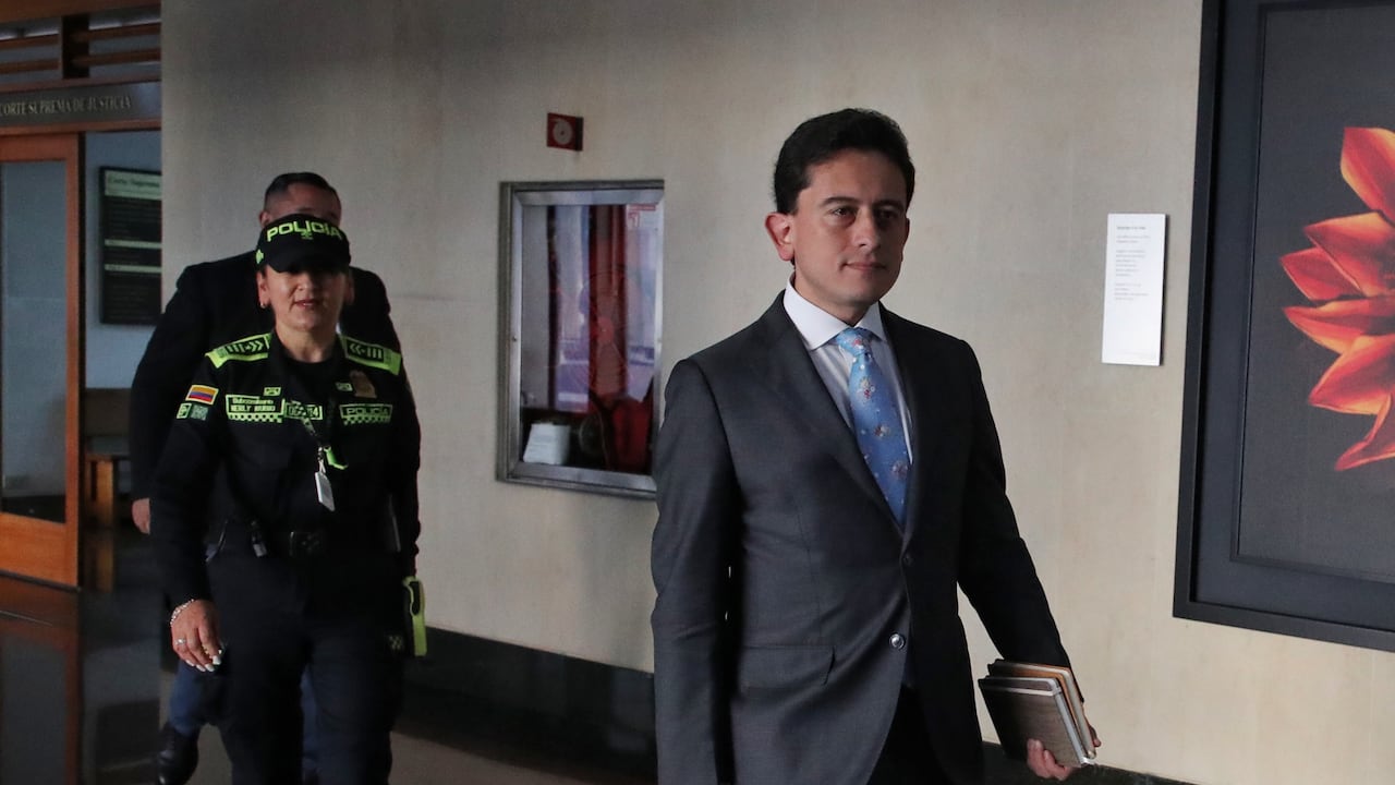 “Hay un riesgo de daño irreparable, sobre todo si se continúan bajando las medidas de seguridad con las que nosotros contamos en este momento”, dijo Luis Carlos Reyes, exdirector de la Dian.