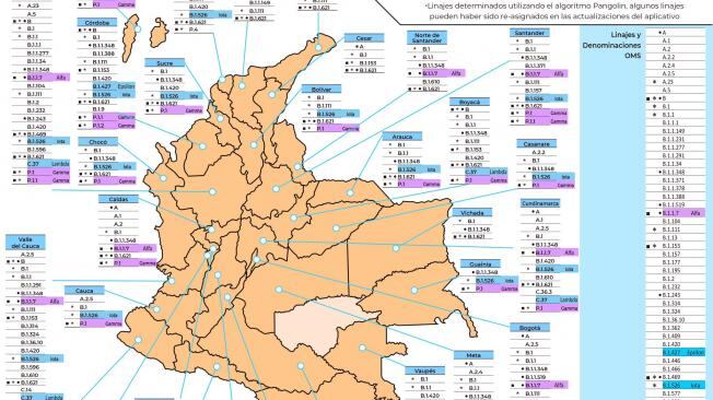 Variante iota, advierten cómo esta nueva cepa del coronavirus se expande con mayor rapidez