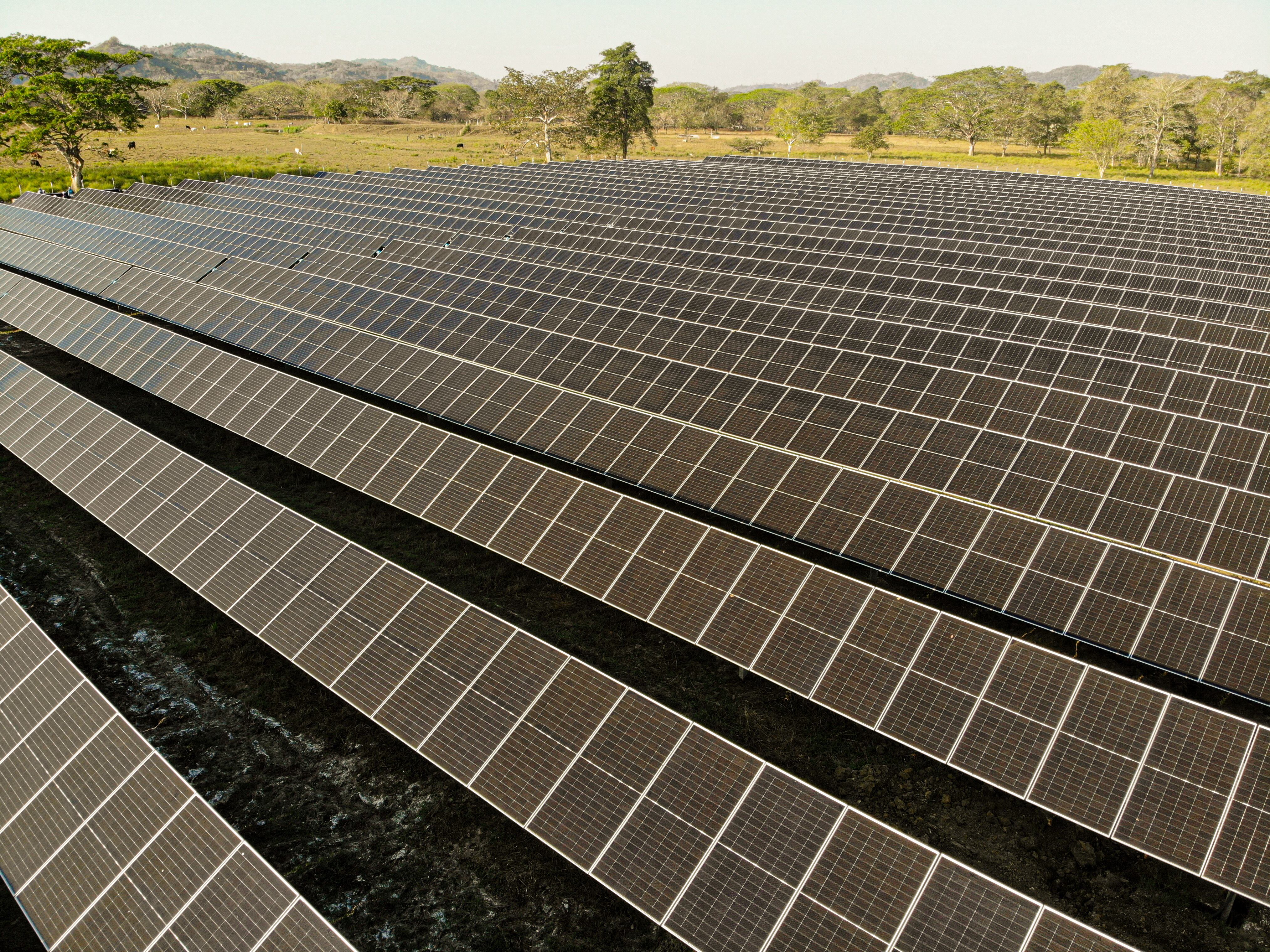 La iniciativa, desarrollada de la mano de dos fondos internacionales , transformará 30 hectáreas de terrenos improductivos en activos de energía renovable.