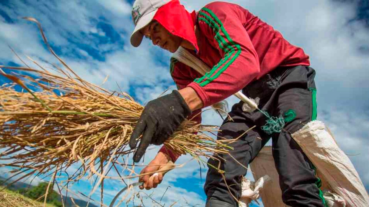 Biocultivos tiene cinco productos en el mercado