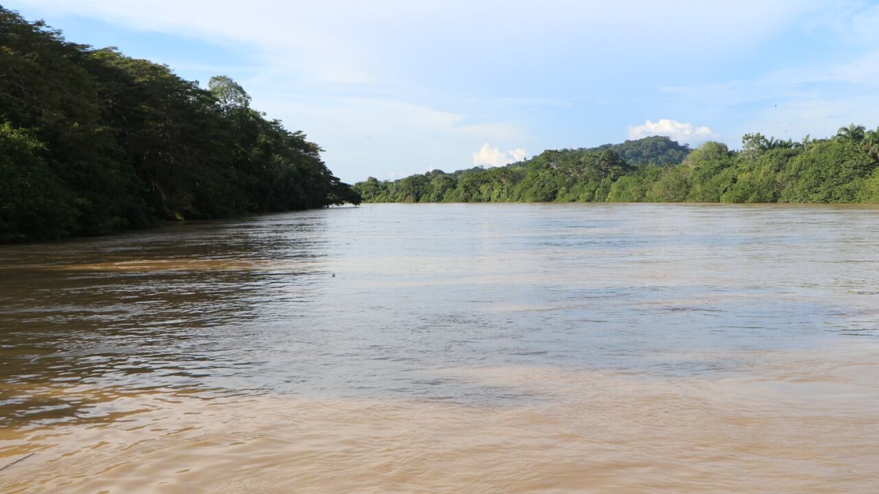 Anuncian intervenciones en el río Sinú para evitar inundaciones.