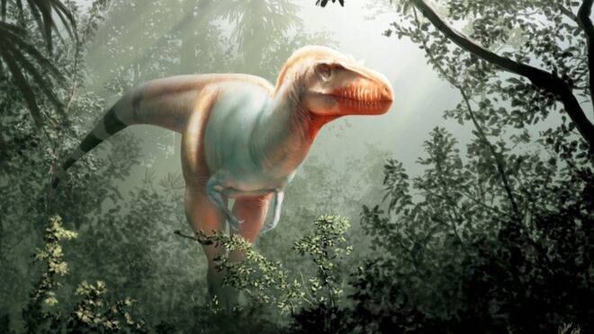 Especie de tiranosaurio hasta ahora desconocida que vivió hace 80 millones de años 