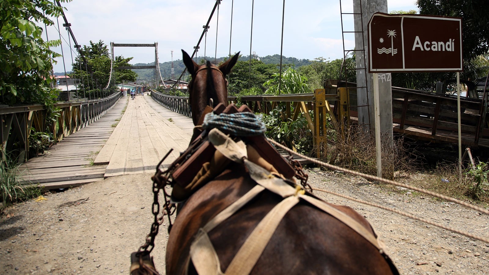El Darién hace parte de la cuenca baja del río Atrato y predomina el bosque tropical húmedo.