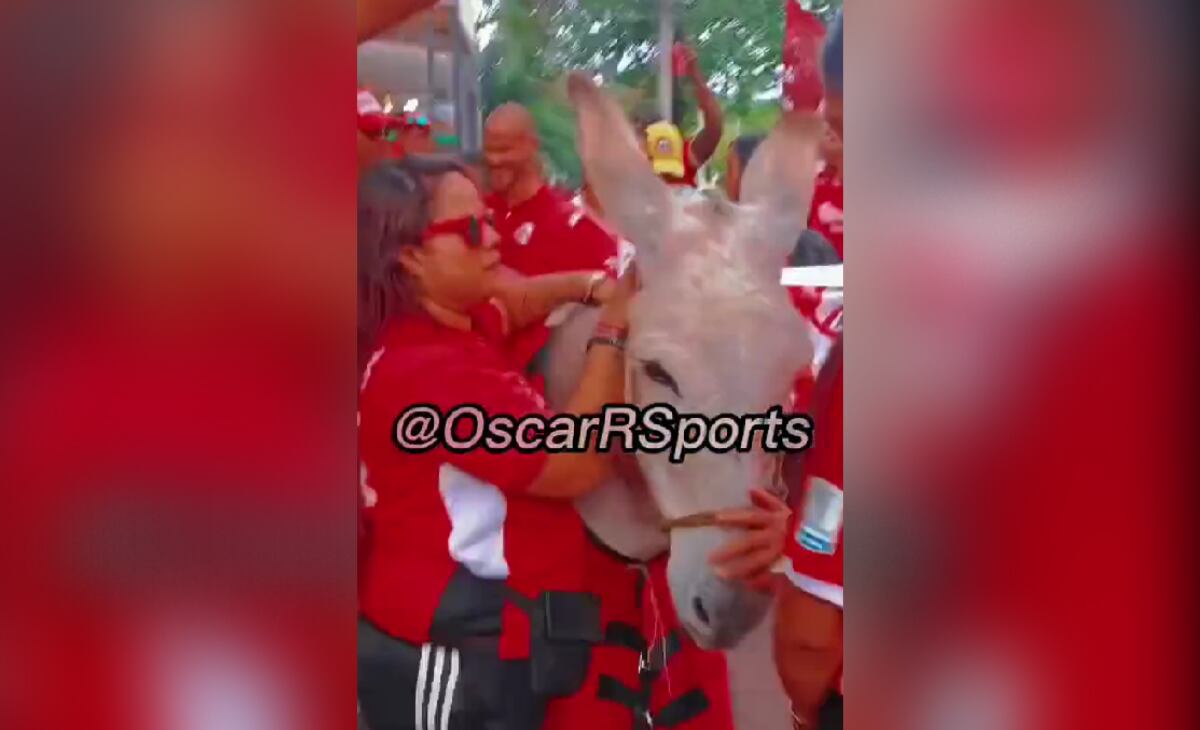Hinchas de América usaron a una burra para burlarse del Junior.