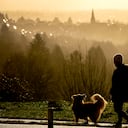 A woman walks her dog above the city of Kronberg, Germany, Monday, Feb. 7, 2022. (AP Photo/Michael Probst)