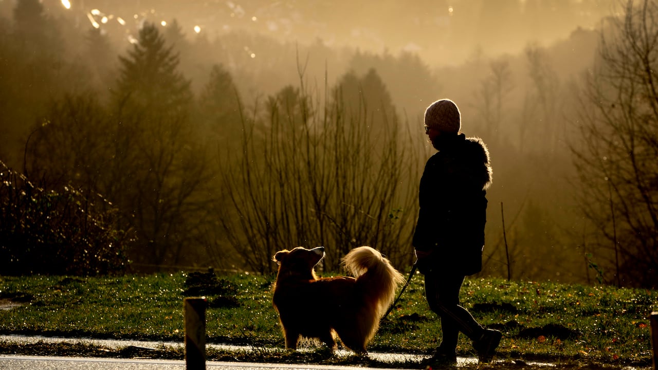 Una persona caminando junto a su mascota, en Alemania, el 7 de febrero de 2022 (AP Photo/Michael Probst)