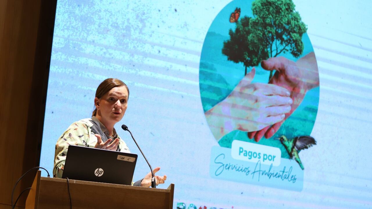 Secretaria de Ambiente, Carolina Urrutia, destacando los logros de pagos por servicios ambientales en Bogotá.