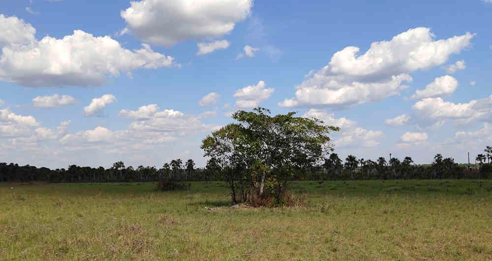 El Vichada, el segundo departamento más grande de Colombia.