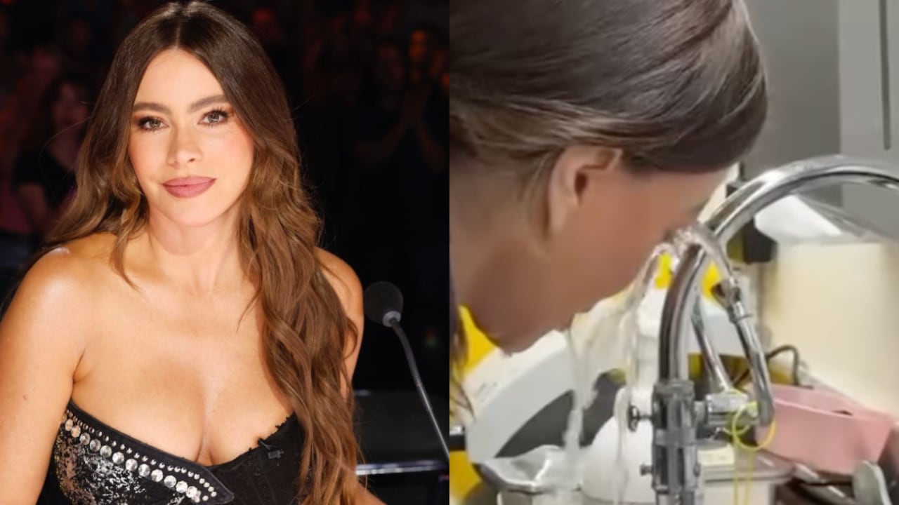 Sofía Vergara no asistió a los premios Emmy por ir a emergencias.