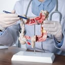 Adoptar hábitos alimenticios más saludables puede favorecer la salud intestinal.