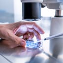 El cofundador de Microsoft, Bill Gates, ha señalado que la biología y la medicina personalizada son áreas donde el conocimiento humano seguirá siendo insustituible, a pesar de los avances en inteligencia artificial.