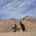 Un niño empuja una carretilla con bidones y su hermano menor, en su camino a recoger agua de una piscina estancada, a unos 3 kilómetros (2 millas) de su casa en la aldea de Kamar Kalagh en las afueras de Herat, Afganistán, el viernes 26 de noviembre de 2021. La sequía de Afganistán, la peor en décadas, está entrando ahora en su segundo año, agravada por el cambio climático. Foto AP / Petros Giannakouris