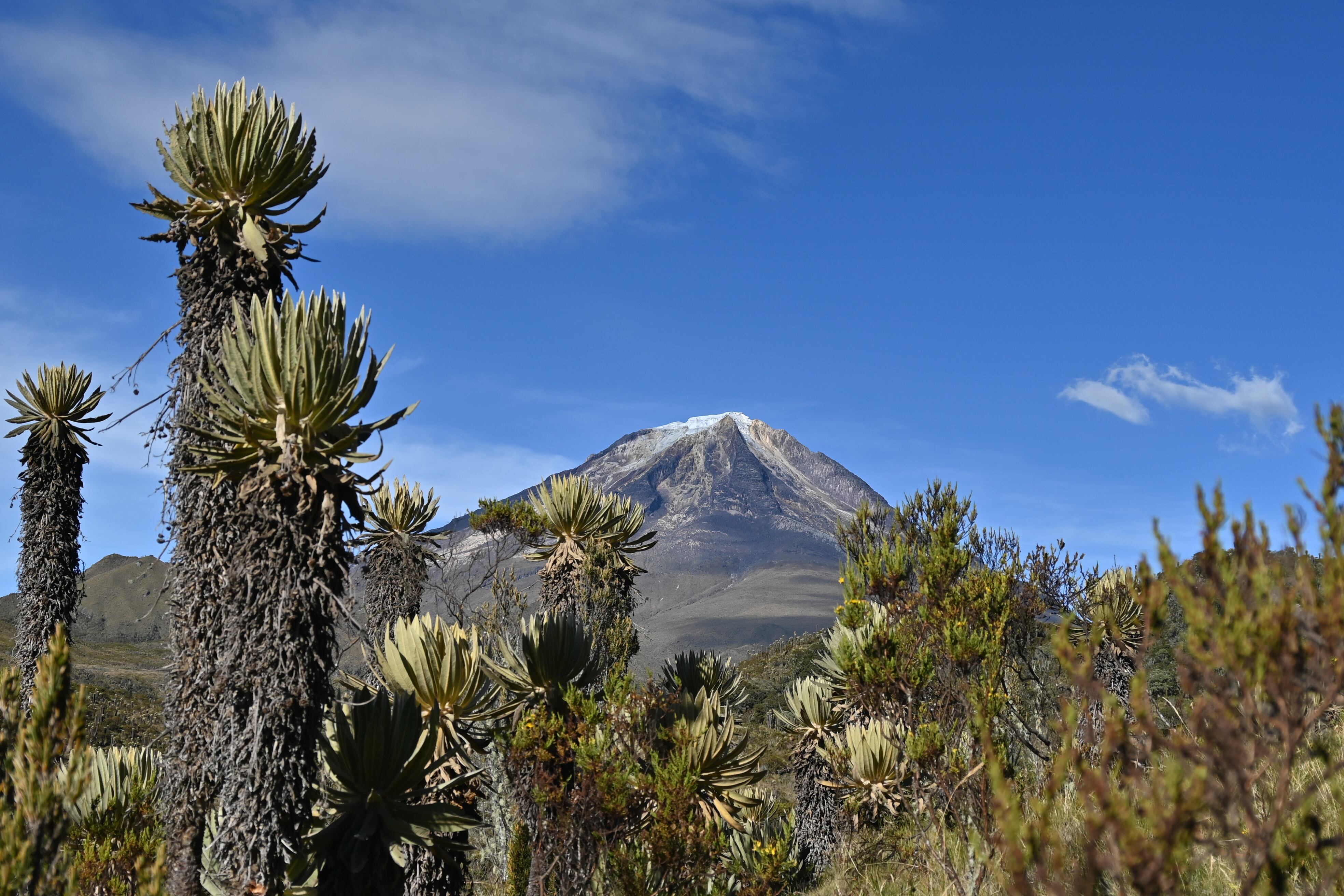 El Nevado del Tolima es un volcán ubicado en la Cordillera Central de los Andes en Colombia, y forma parte del parque nacional natural Los Nevados.
