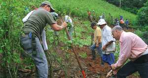 Existe evidencia de que el anuncio de crear un programa de sustitución voluntaria de cultivos ilícitos durante las negociaciones con las Farc aumentó la siembra de coca.
