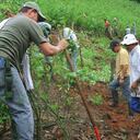 Existe evidencia de que el anuncio de crear un programa de sustitución voluntaria de cultivos ilícitos durante las negociaciones con las Farc aumentó la siembra de coca.
