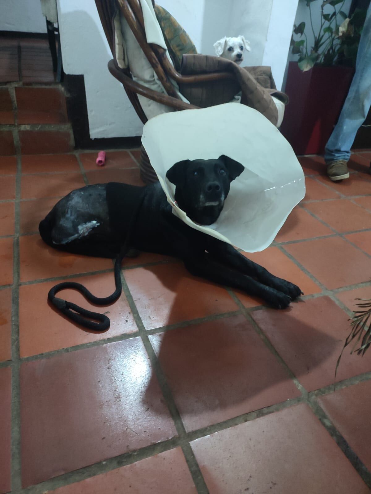 Aporte Mireya Velasco