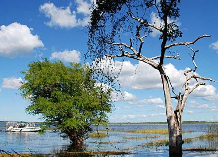 Descubren en Belice antiguos canales que muestran las primeras modificaciones del paisaje maya.