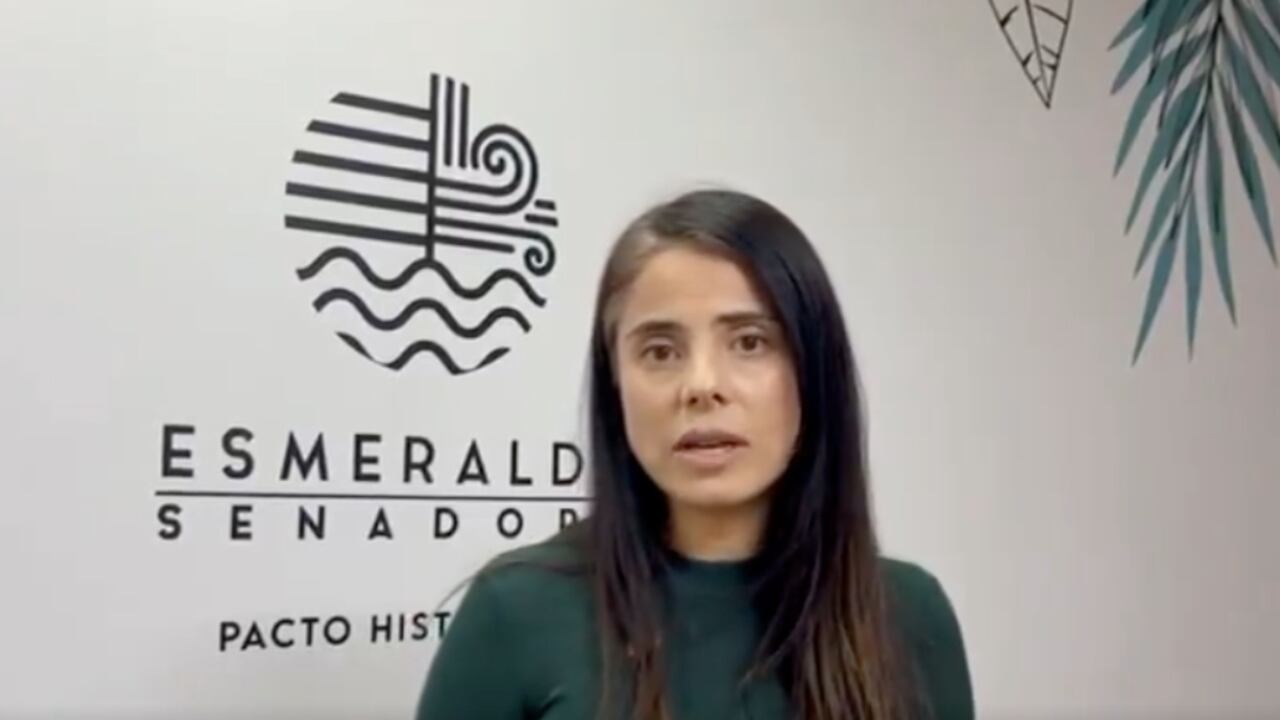 La senadora Esmeralda Hernández.