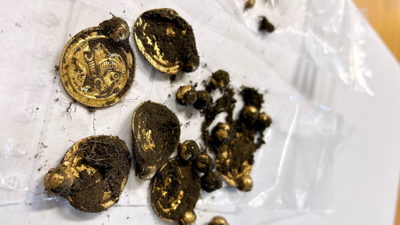 Varias joyas de oro de 1.500 años de antigüedad son exhibidas el 7 de septiembre de 2023, en Noruega, después de que un hombre con un detector de metales descubrió las piezas en la isla de Rennesoy. (Anniken Celine Berger/Museo Arqueológico, UiS vía NTB vía AP)
