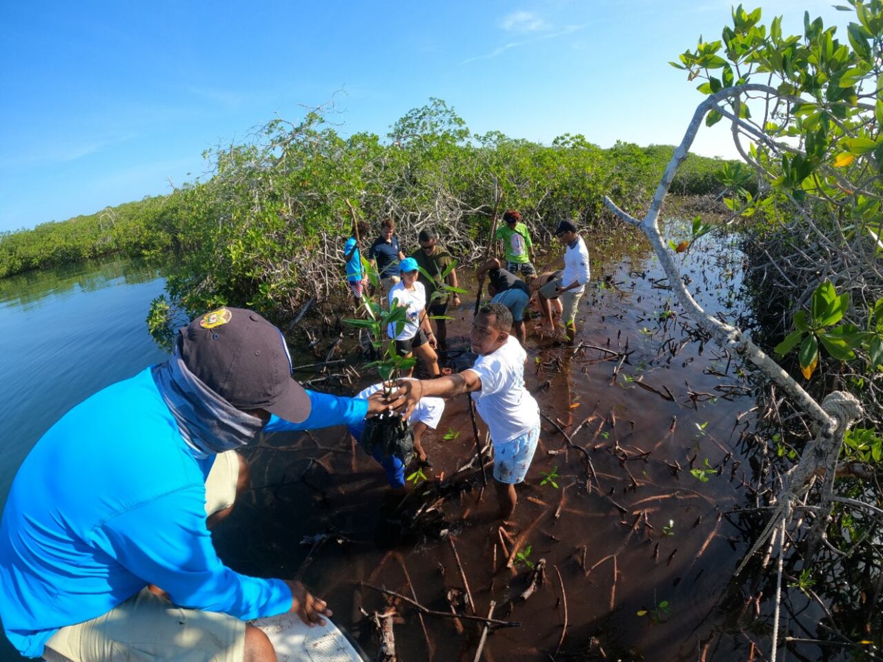 Durante el periodo del presidente Iván Duque, se han ingresado 1.683.073 hectáreas, equivalentes a 12.681 predios, y, si se suman las 226.831 que aportó la anterior administración, al Fondo han ingresado un total de 1.909.400 hectáreas.