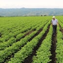 ¿Por qué es importante la especialidad agraria en la justicia?