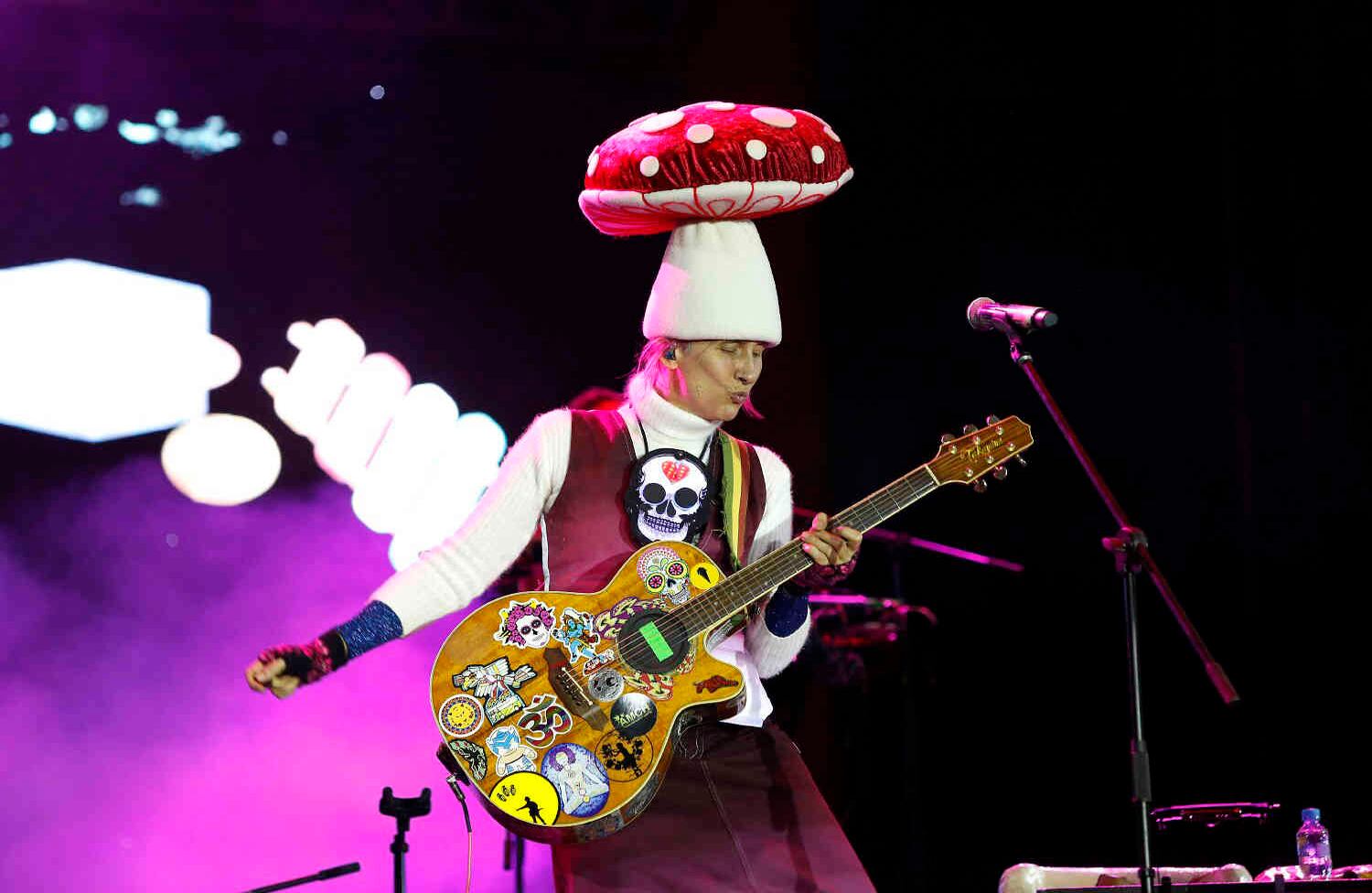 Aterciopelados en el Festelar. Foto: Guillermo Torres Reina