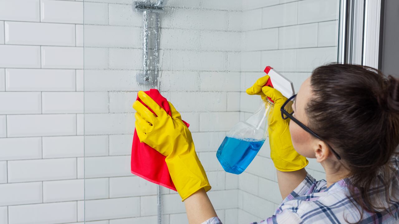 Trucos de limpieza para eliminar la plaga del mosco de baño