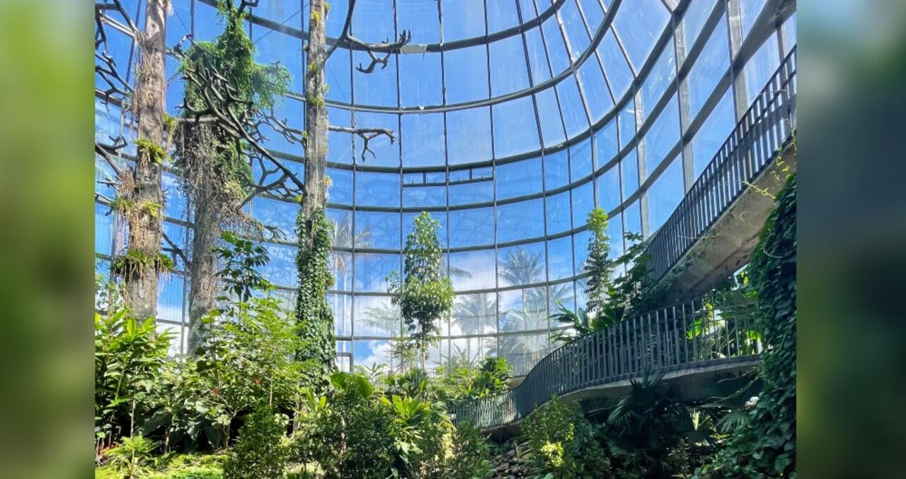 Tropicario Distrital