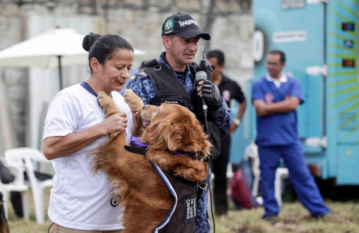 El centro canino tendrá como finalidad generar apoyo psicosocial y herramientas de reinserción para las internas que están próximas a recuperar su libertad. Foto: Diana Rey Melo