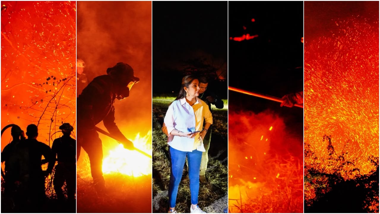 Adriana Magali Matiz, gobernadora del Tolima, en el centro de la imagen. A los costados, las imágenes de los incendios forestales en el departamento.
