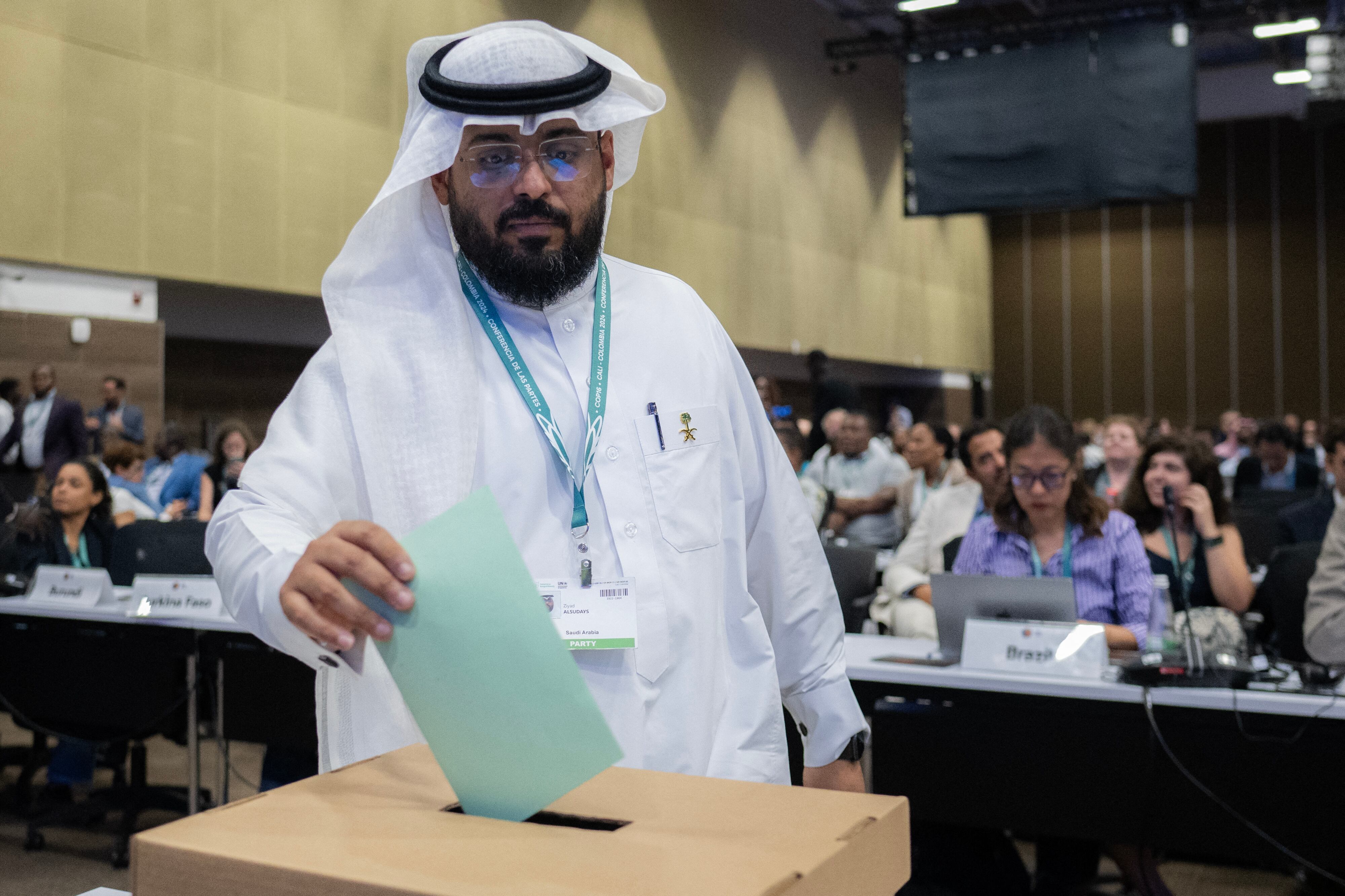 El delegado de Arabia Saudita Siyad Alsudays emite su voto para elegir la Conferencia de las Partes (COP) de 2026.