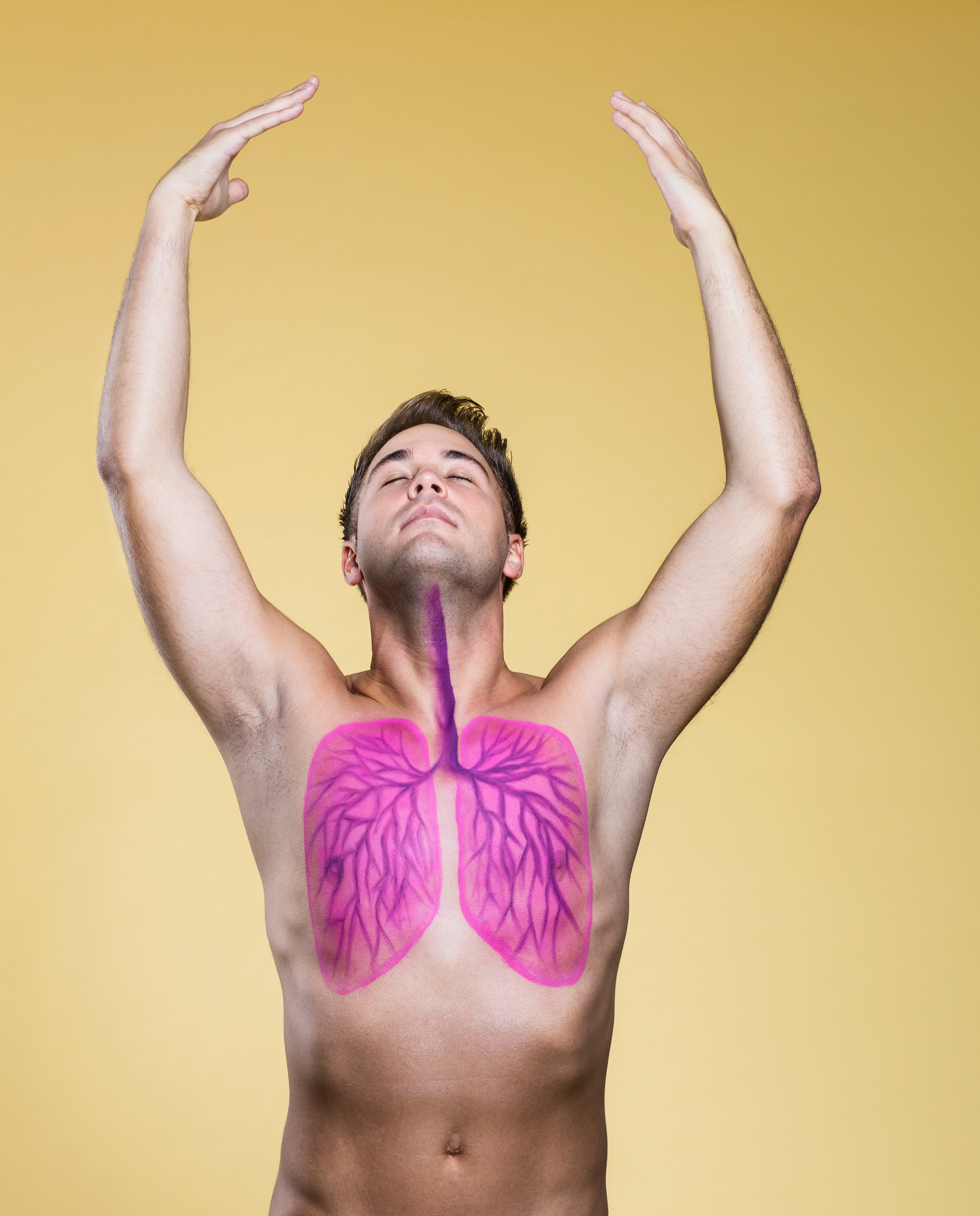 Pulmones - respirar - respiración