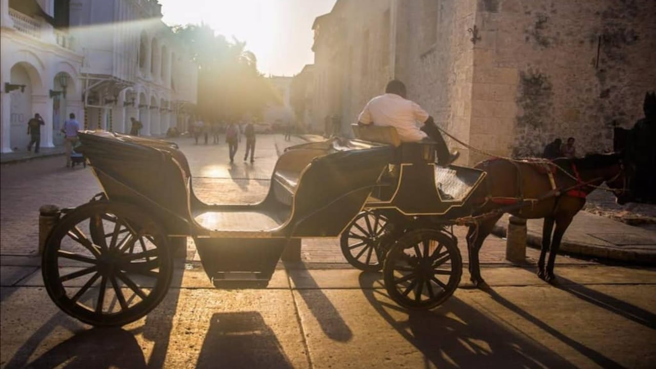 Varios ciudadanos denuncian alta actividad sexual en la zona turística de Cartagena.