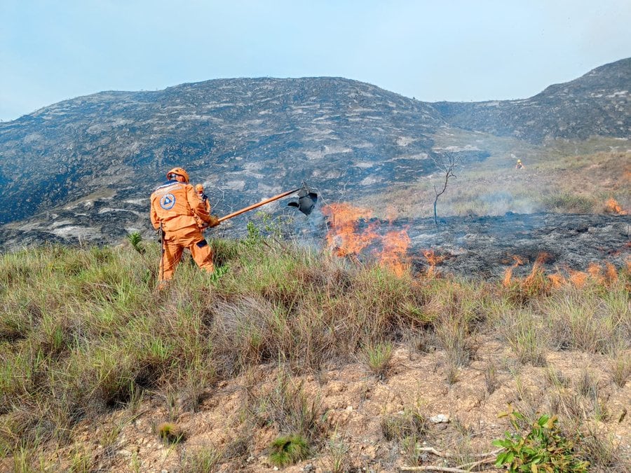 Organismos de socorro apagaron incendio forestal en la zona rural de Ábrego.