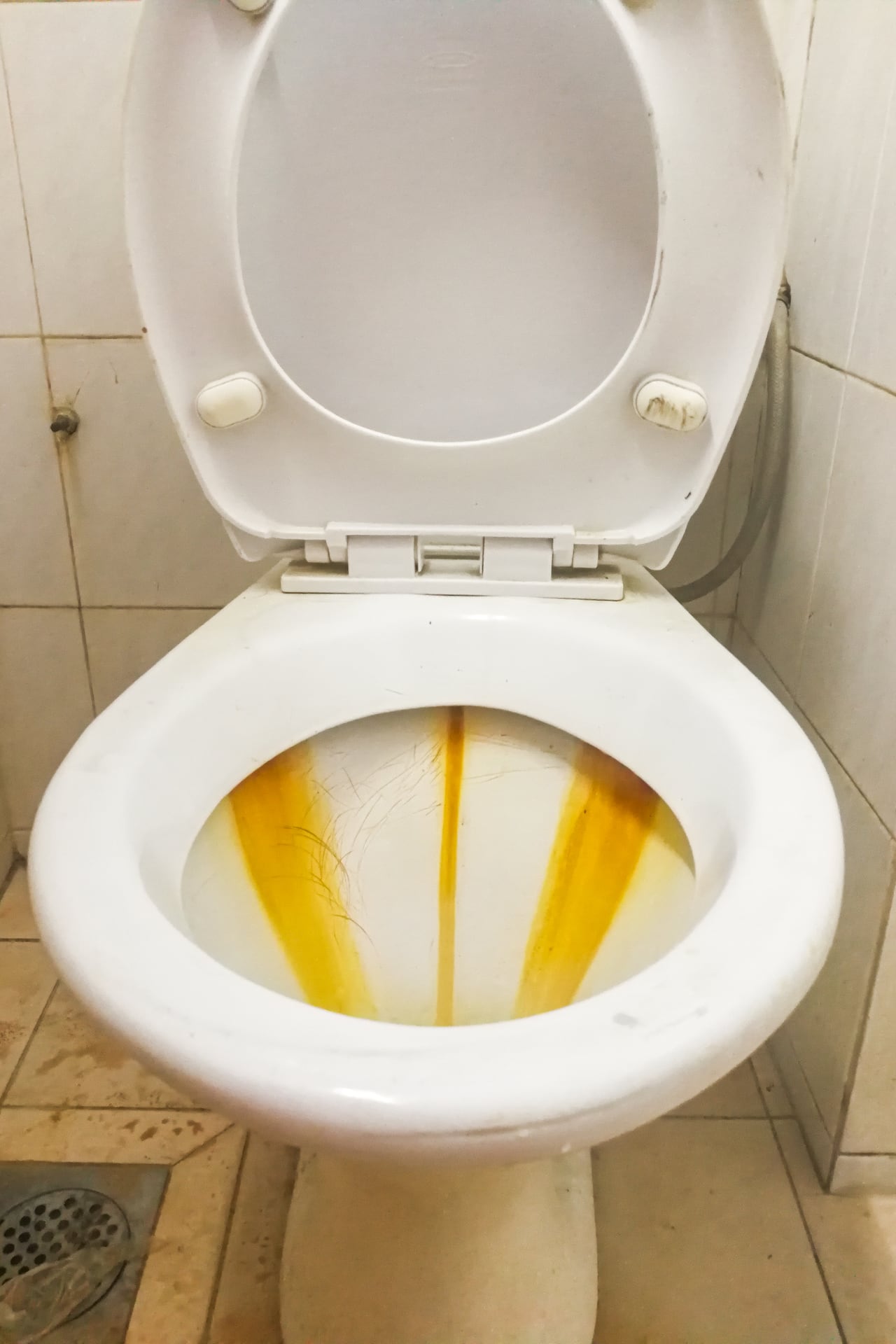 Inodoro