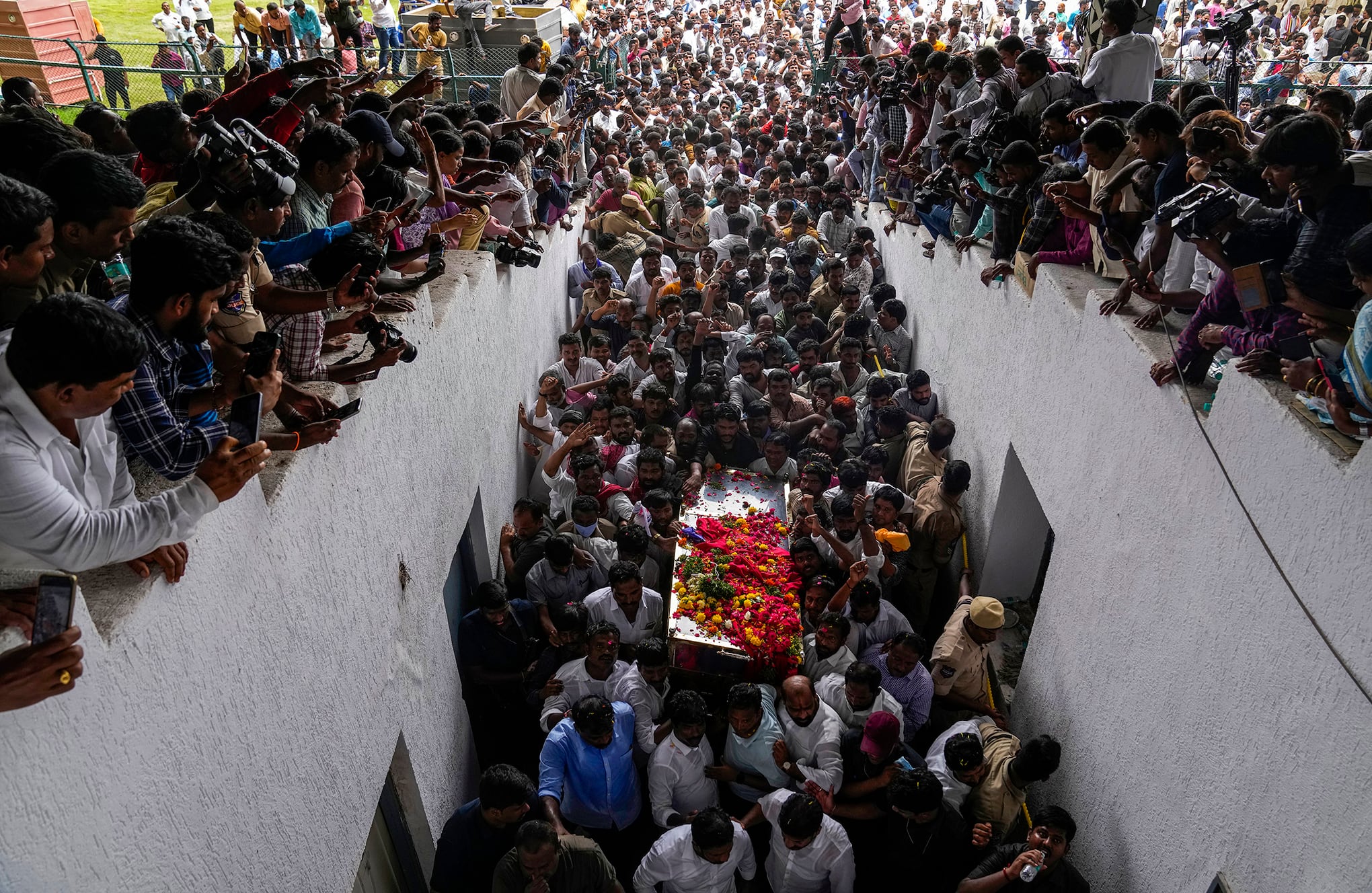 Fotos de la semana 11 agosto