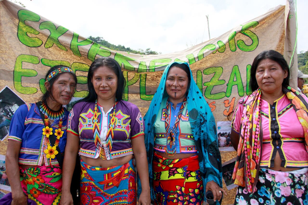 Pueblos Indigenas
