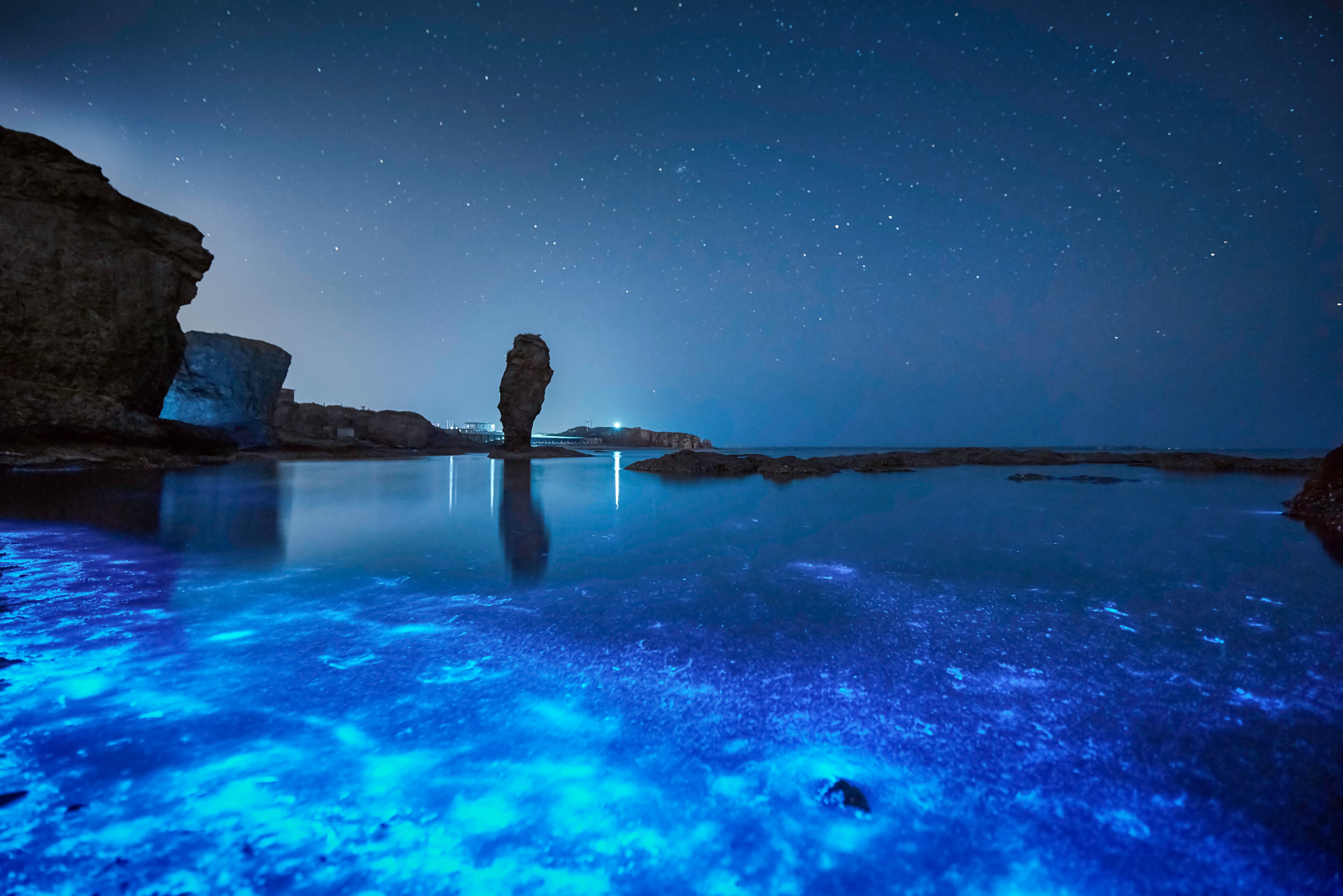 Playas fluorescentes que le permitirán disfrutar de un espectáculo de luces naturales en medio de la naturaleza