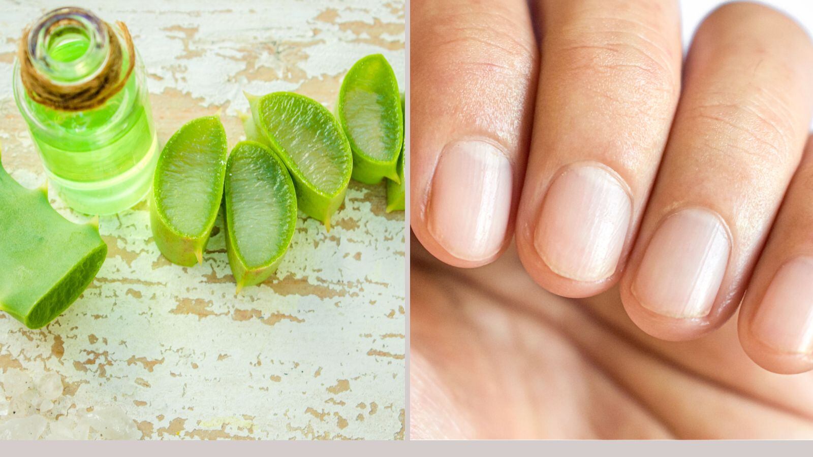 La sábila fortalece las uñas